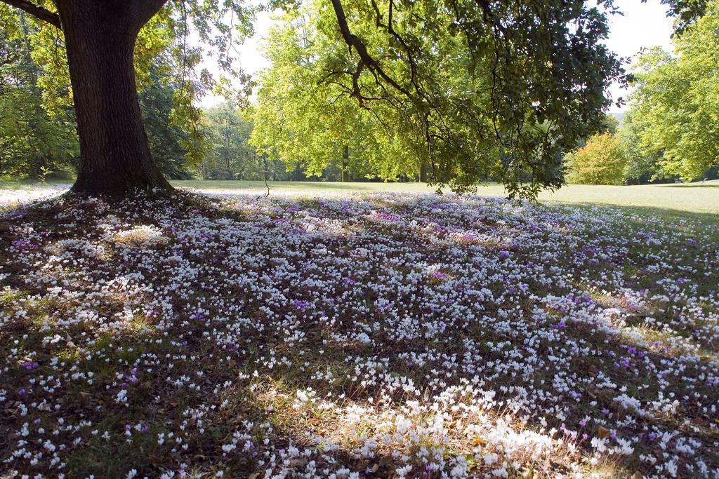 Отель Domaine De La Tortiniere Veigne Экстерьер фото